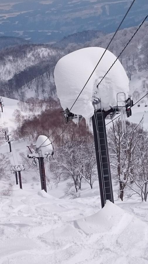 מלון Nozawa Dream מראה חיצוני תמונה