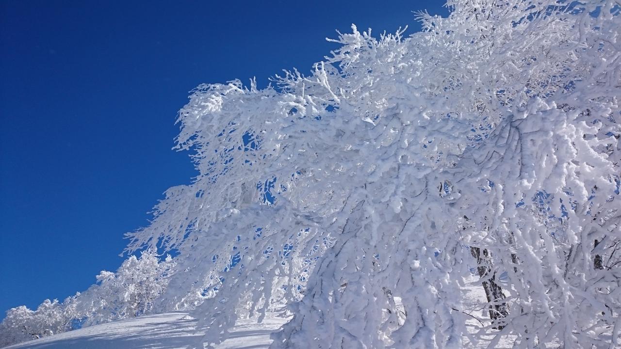 מלון Nozawa Dream מראה חיצוני תמונה