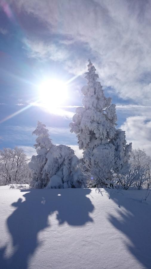 מלון Nozawa Dream מראה חיצוני תמונה