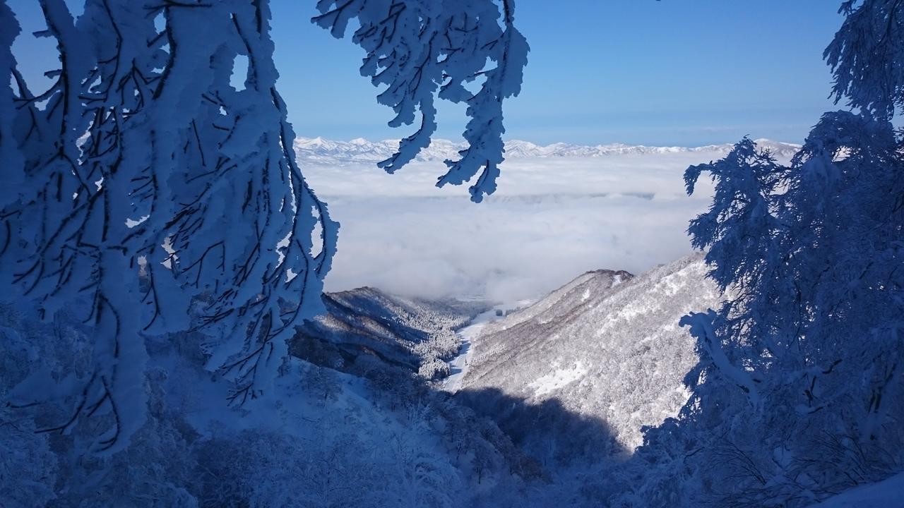 מלון Nozawa Dream מראה חיצוני תמונה